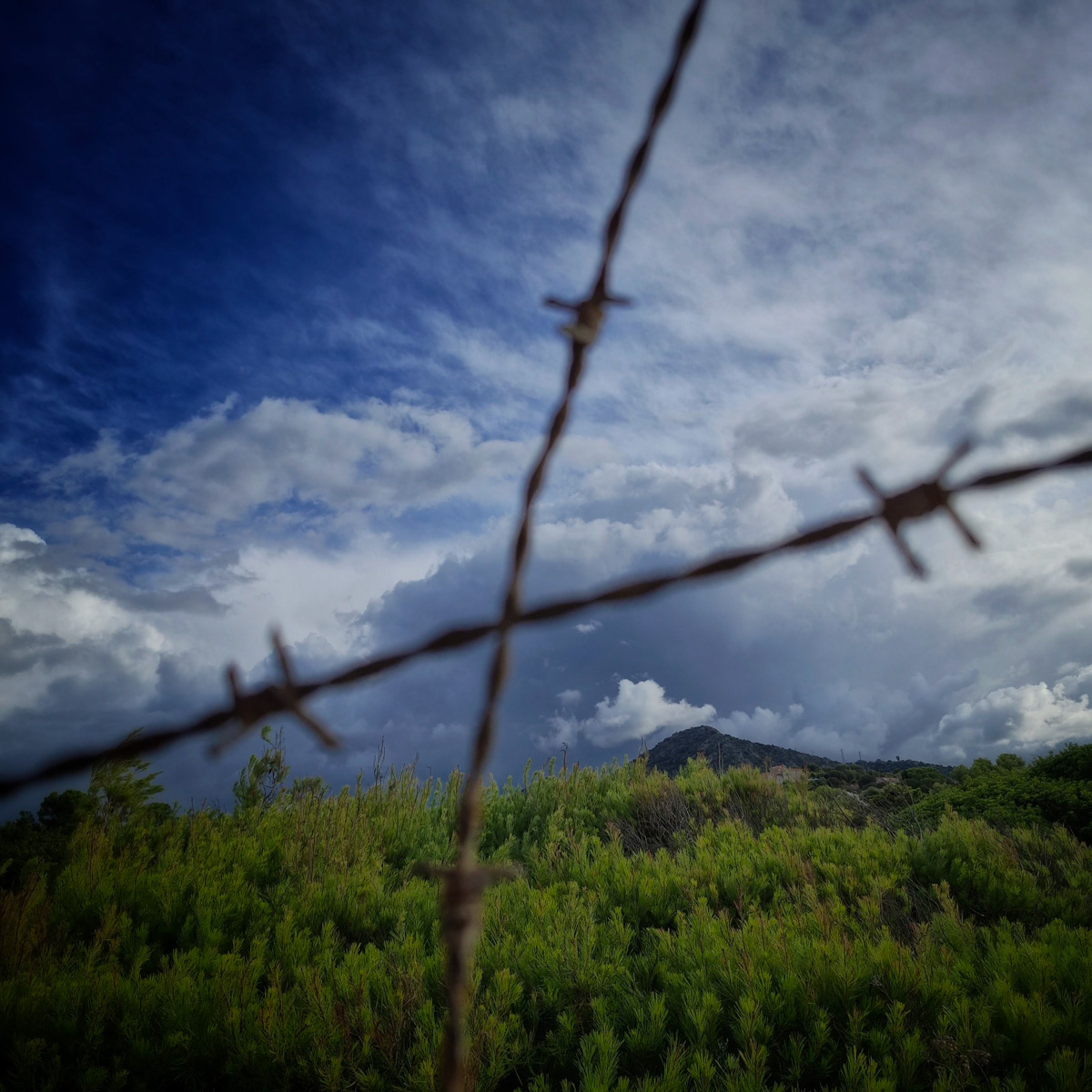 Balagne_saison2BT-59