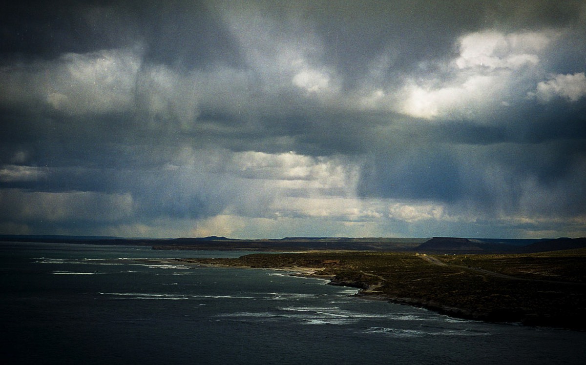 Stacks Image 656