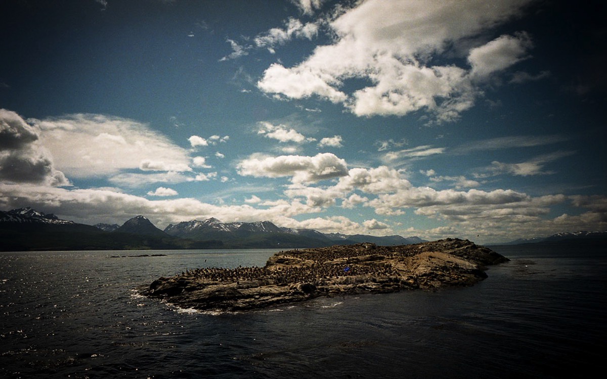 Stacks Image 611