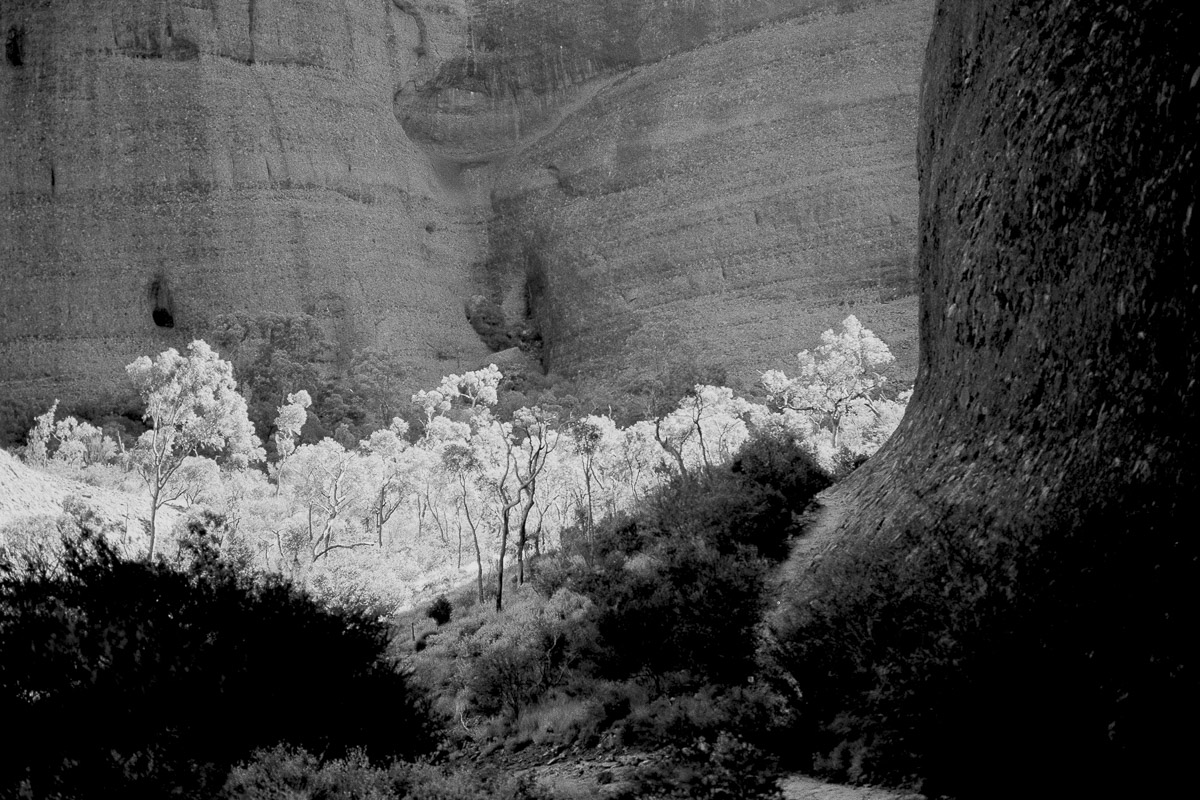 Stacks Image 714