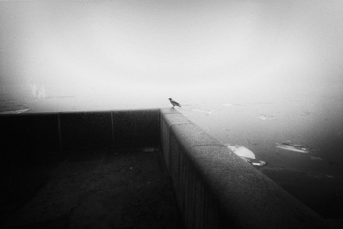 Stacks Image 134