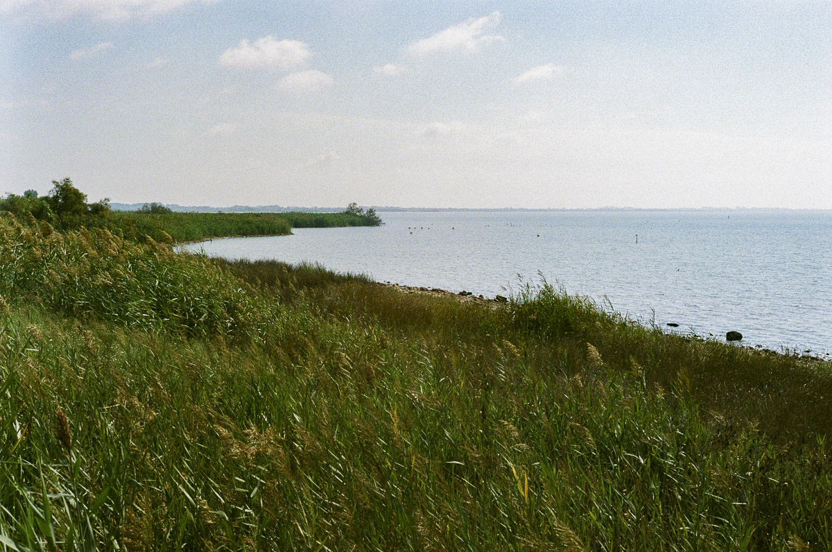 Stacks Image 1026