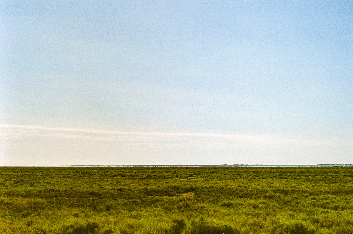 Stacks Image 1418