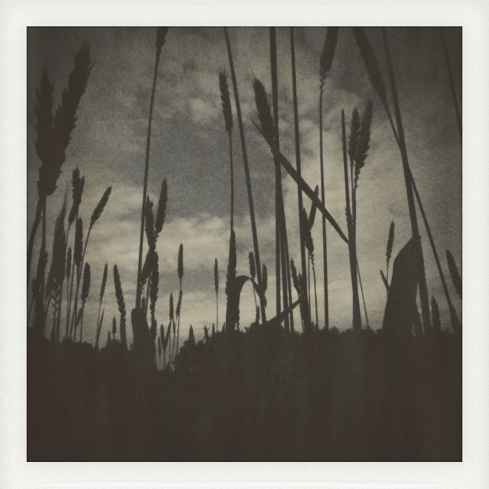Stacks Image 363