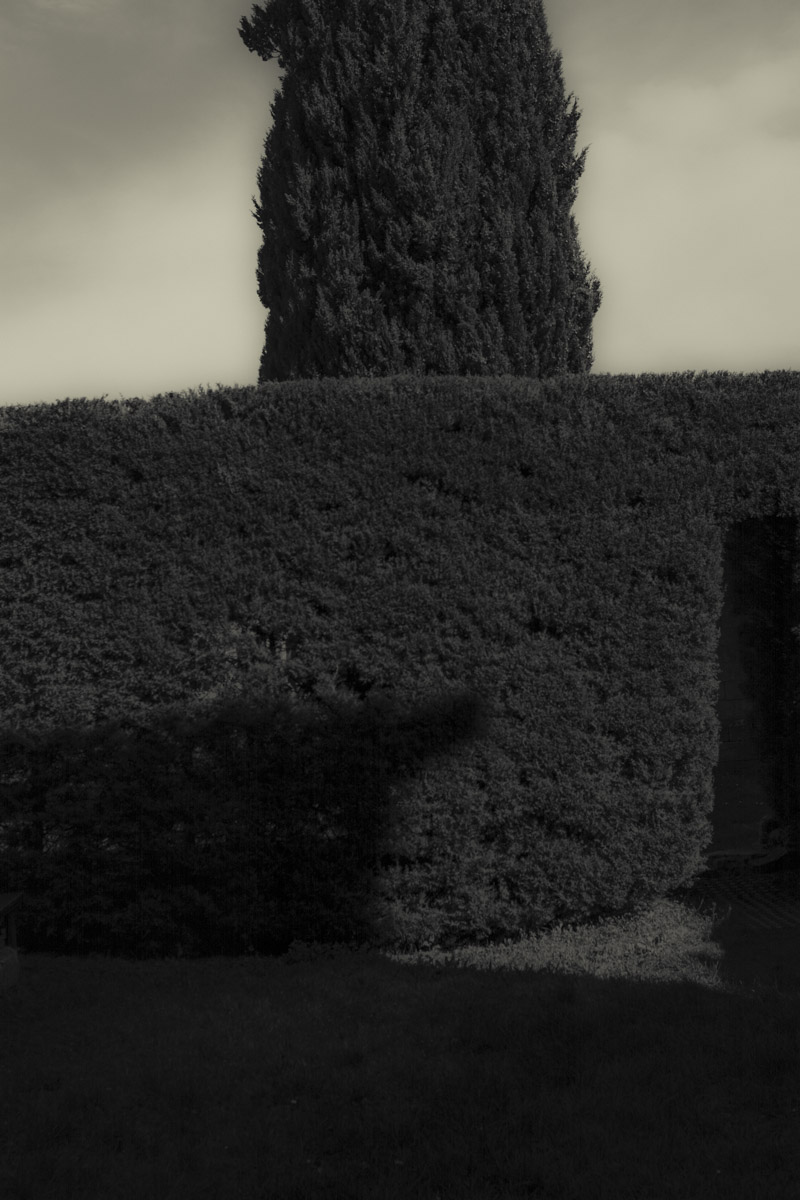 Stacks Image 2015
