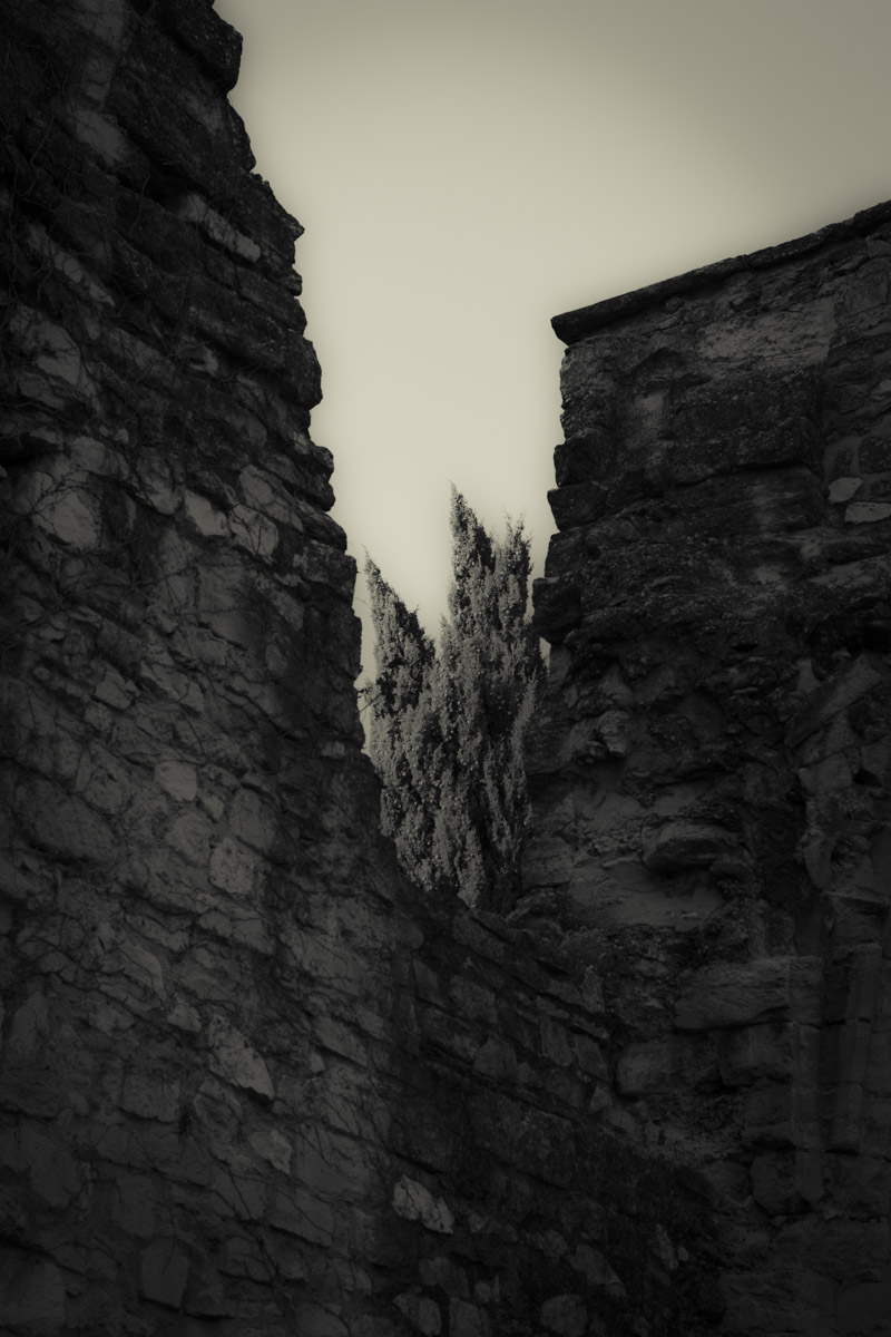Stacks Image 2082