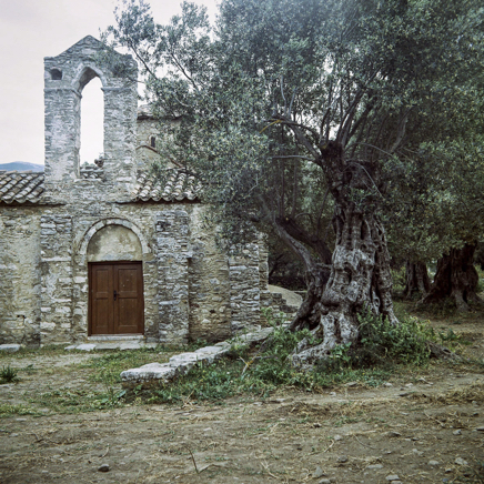 arbres BT-77.jpg