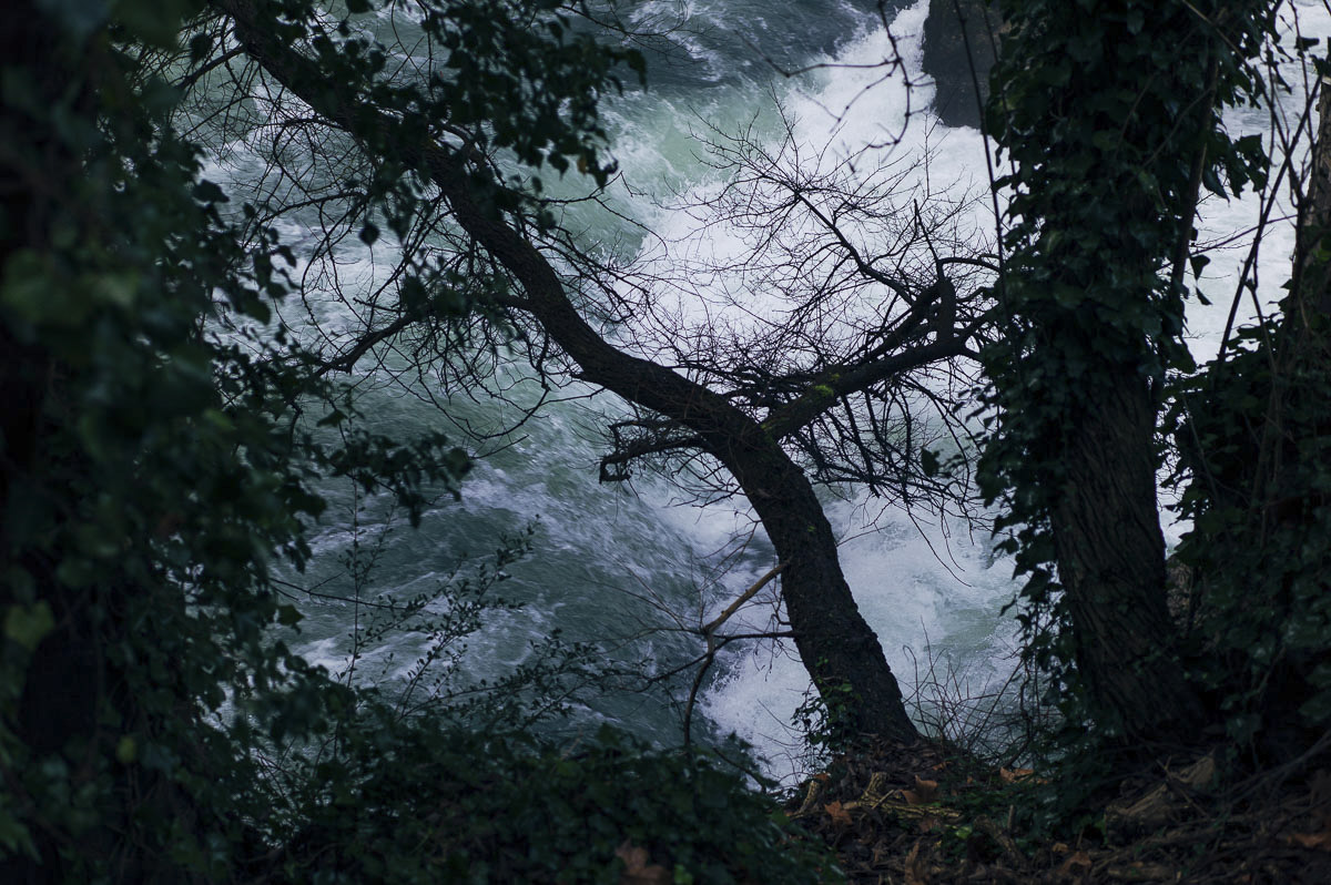 The river flows