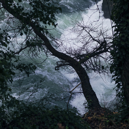 arbres BT-21.jpg