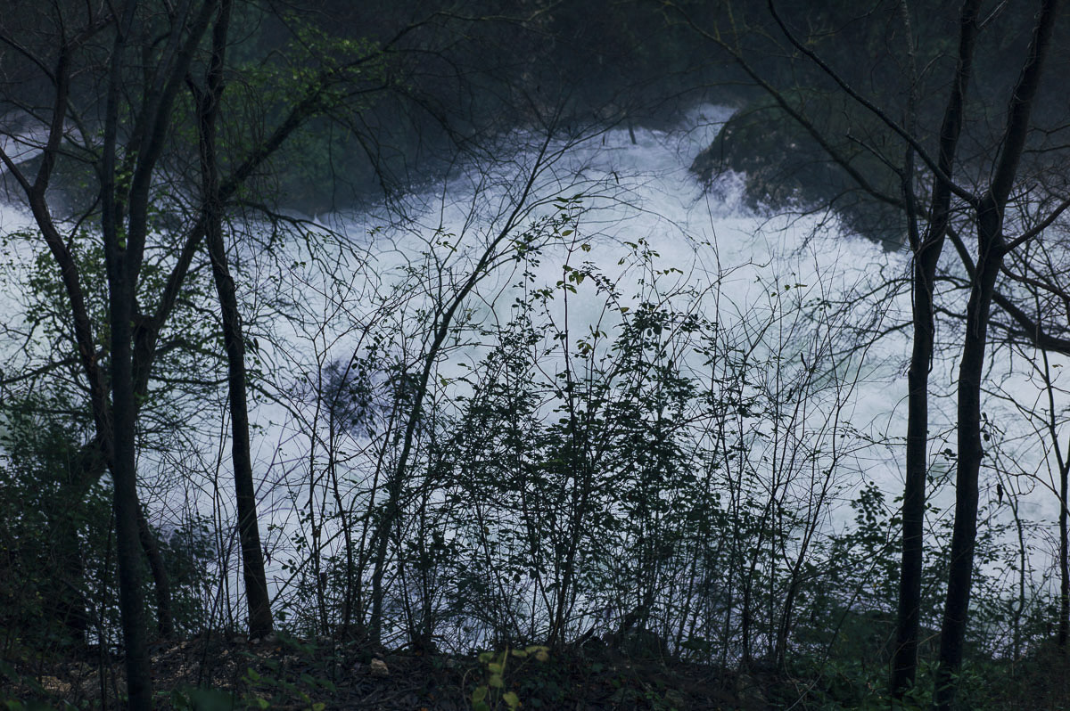 The river flows