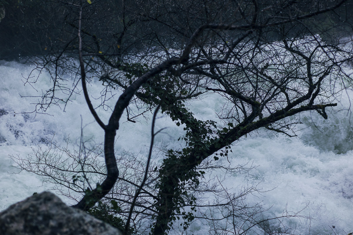 The river flows