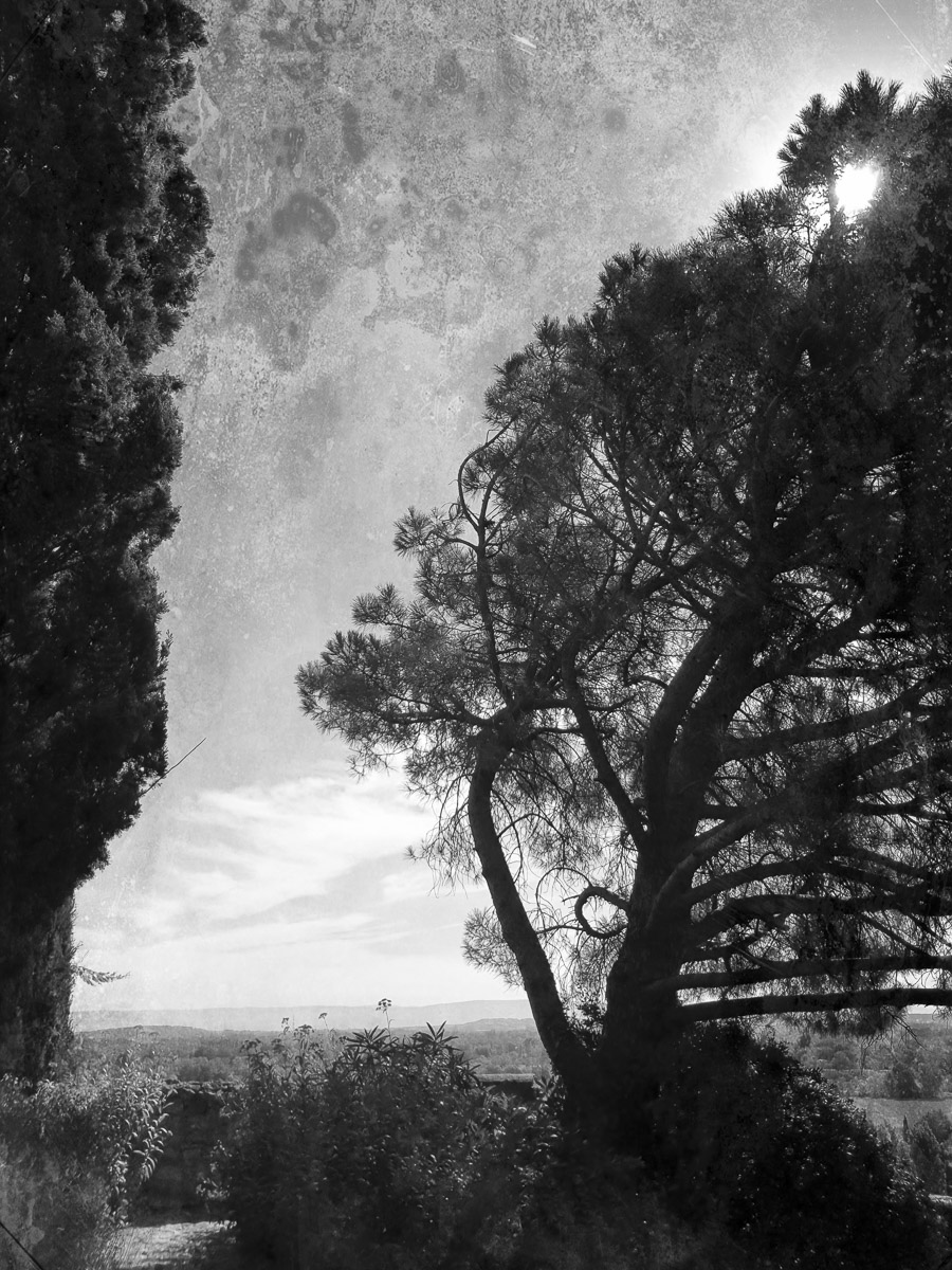 Jardins secrets