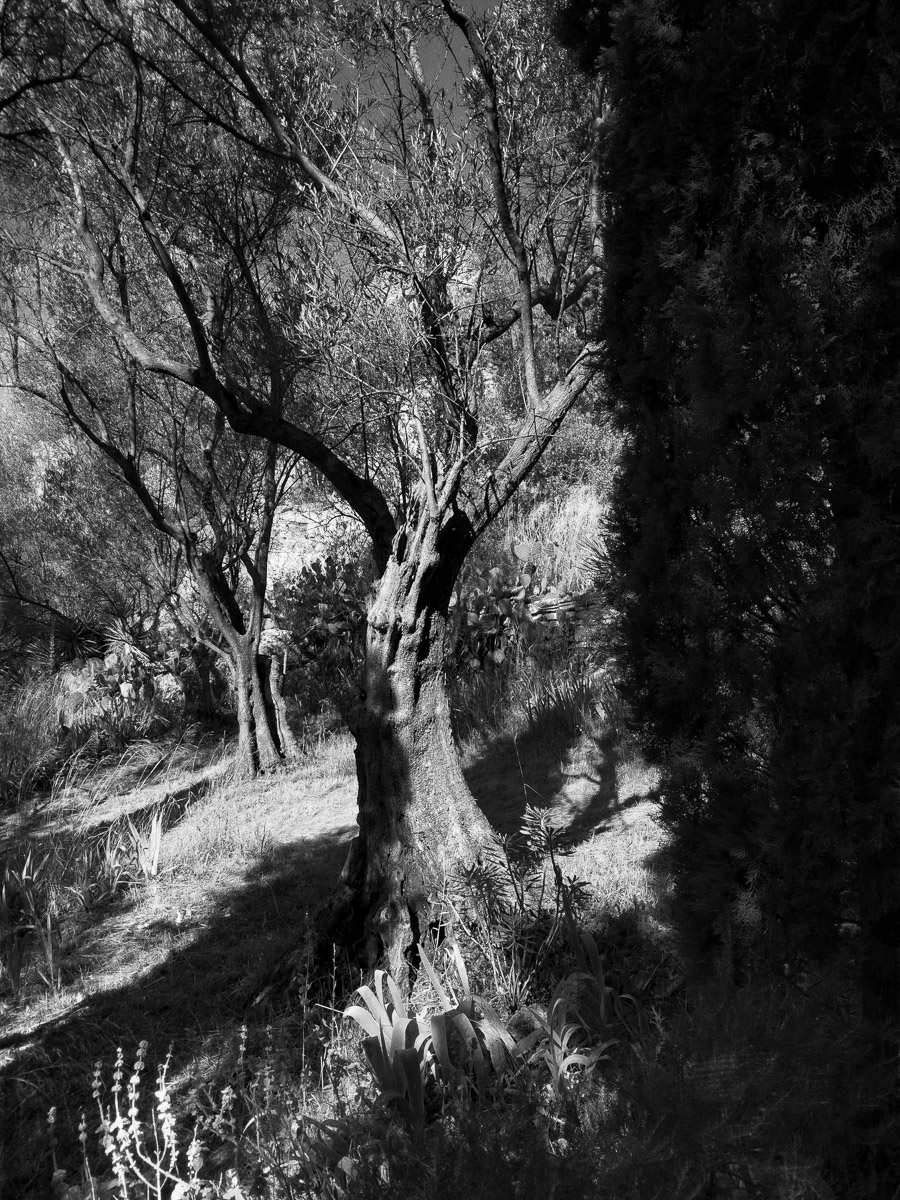 Jardins secrets