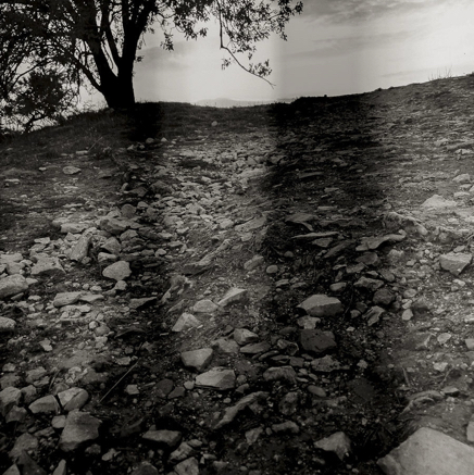 arbres BT-45.jpg