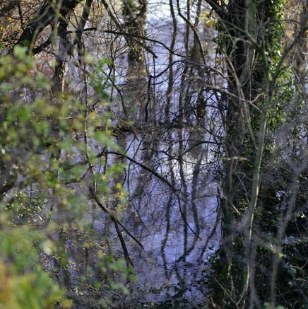 arbres BT-67.jpg
