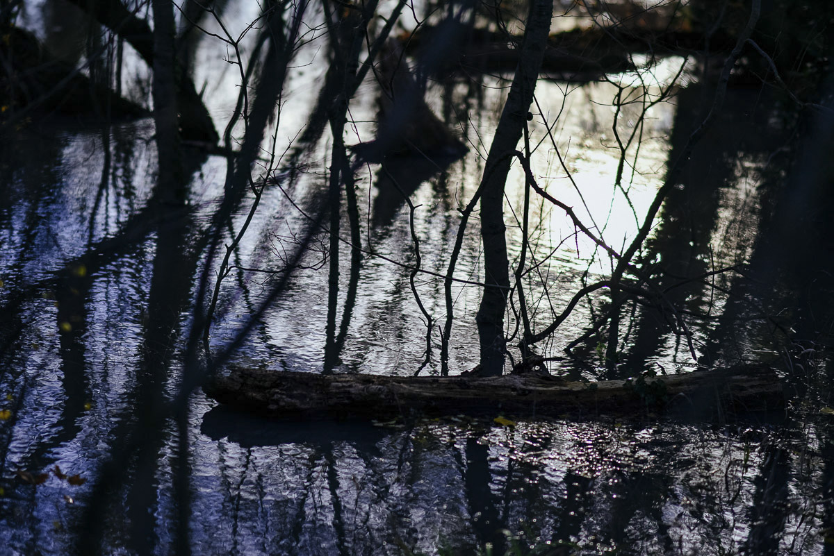 Chaos