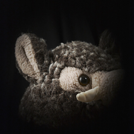 oldfriendsBT-39.jpg