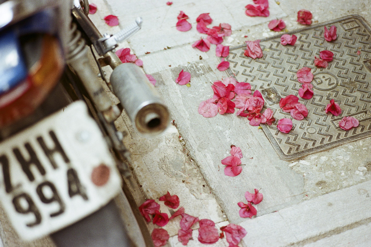 Stacks Image 1065
