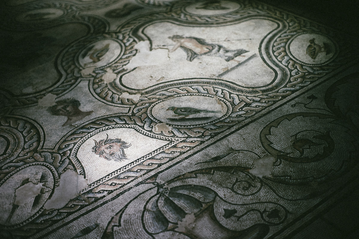 Stacks Image 450
