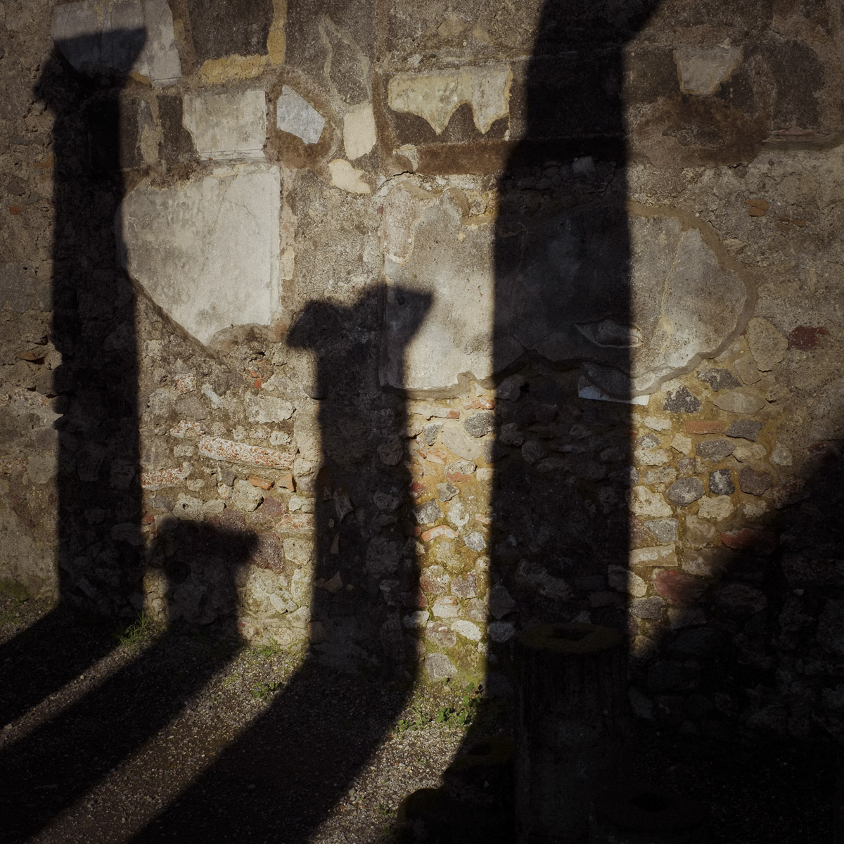 Stacks Image 1077