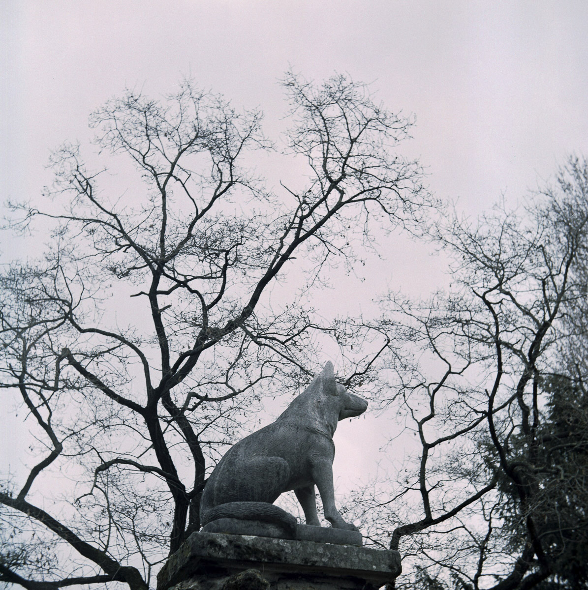 Stacks Image 1708