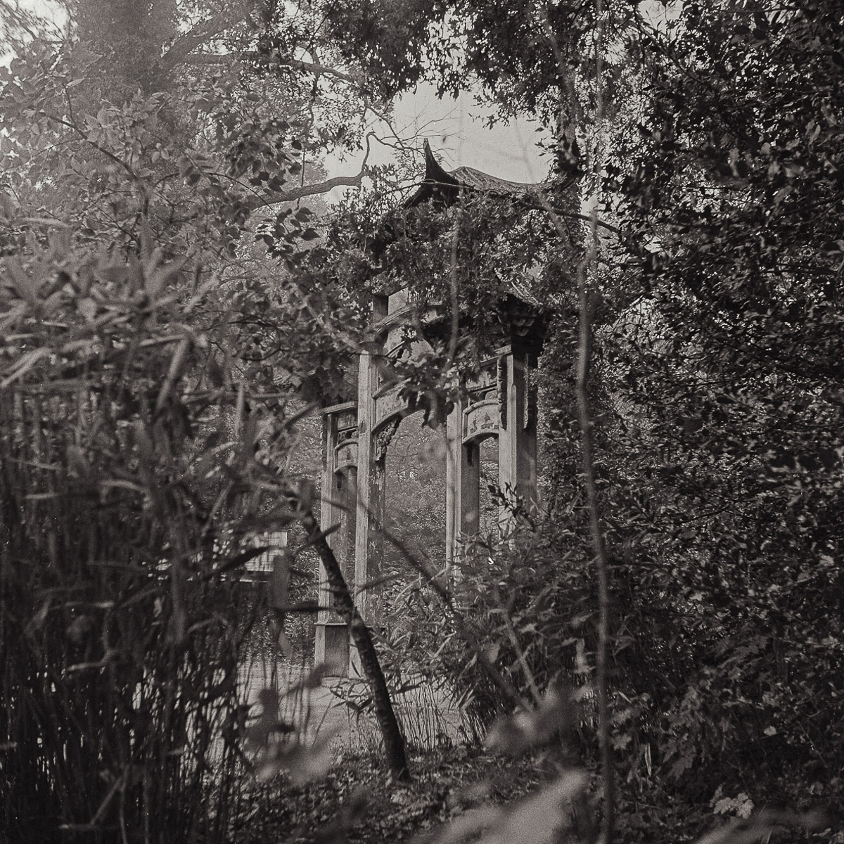 Stacks Image 142