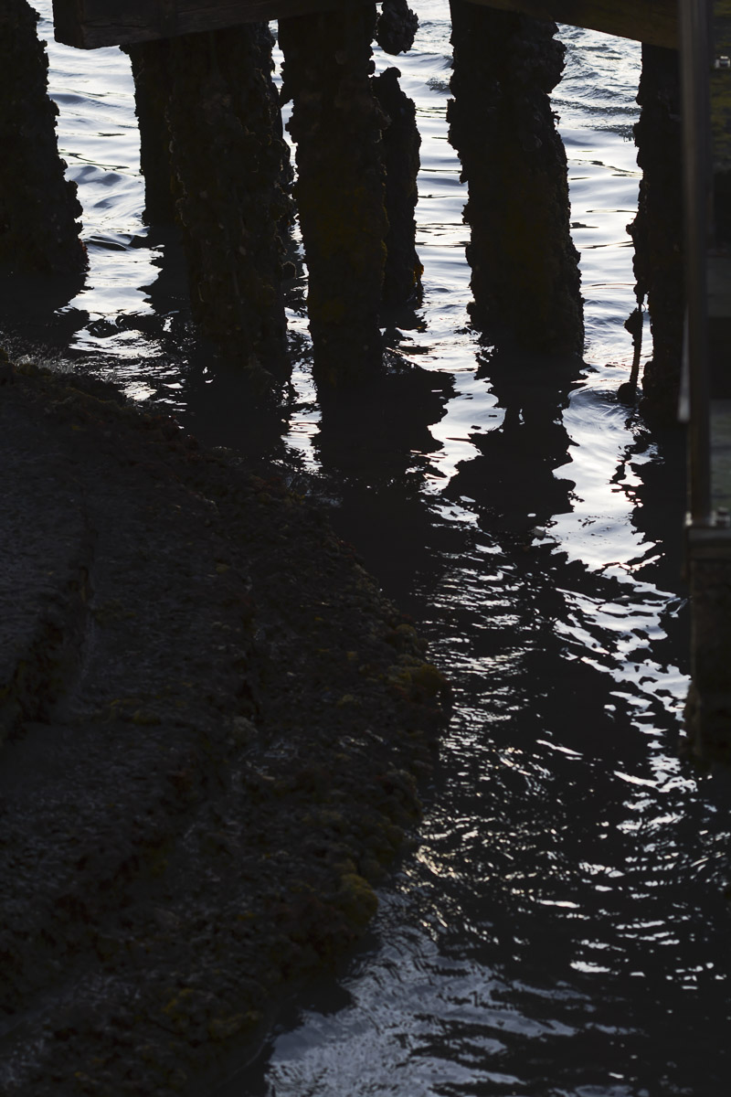 Stacks Image 643