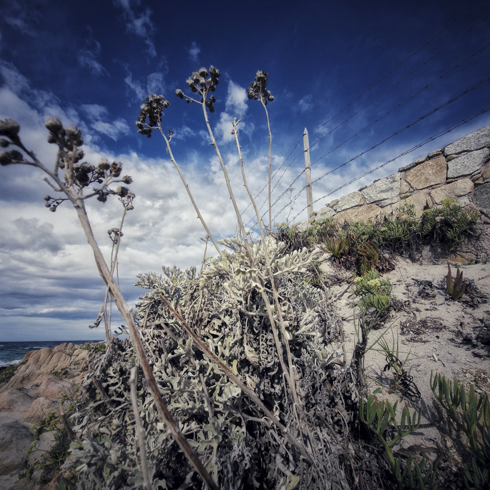 Stacks Image 587