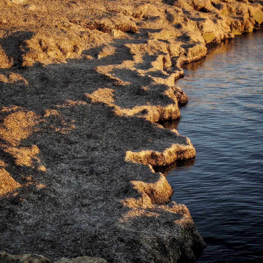Stacks Image 458