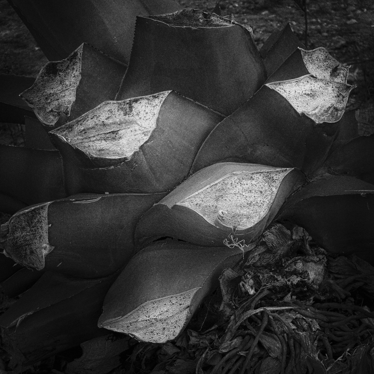 Stacks Image 395