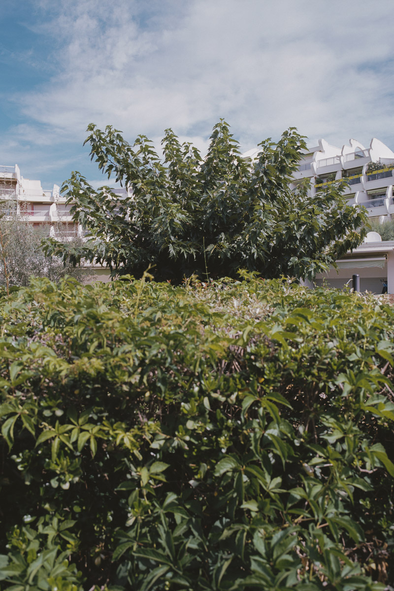 La Grande Motte