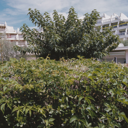 CitésBT-40.jpg