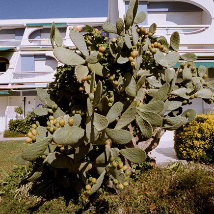 CitésBT-43.jpg