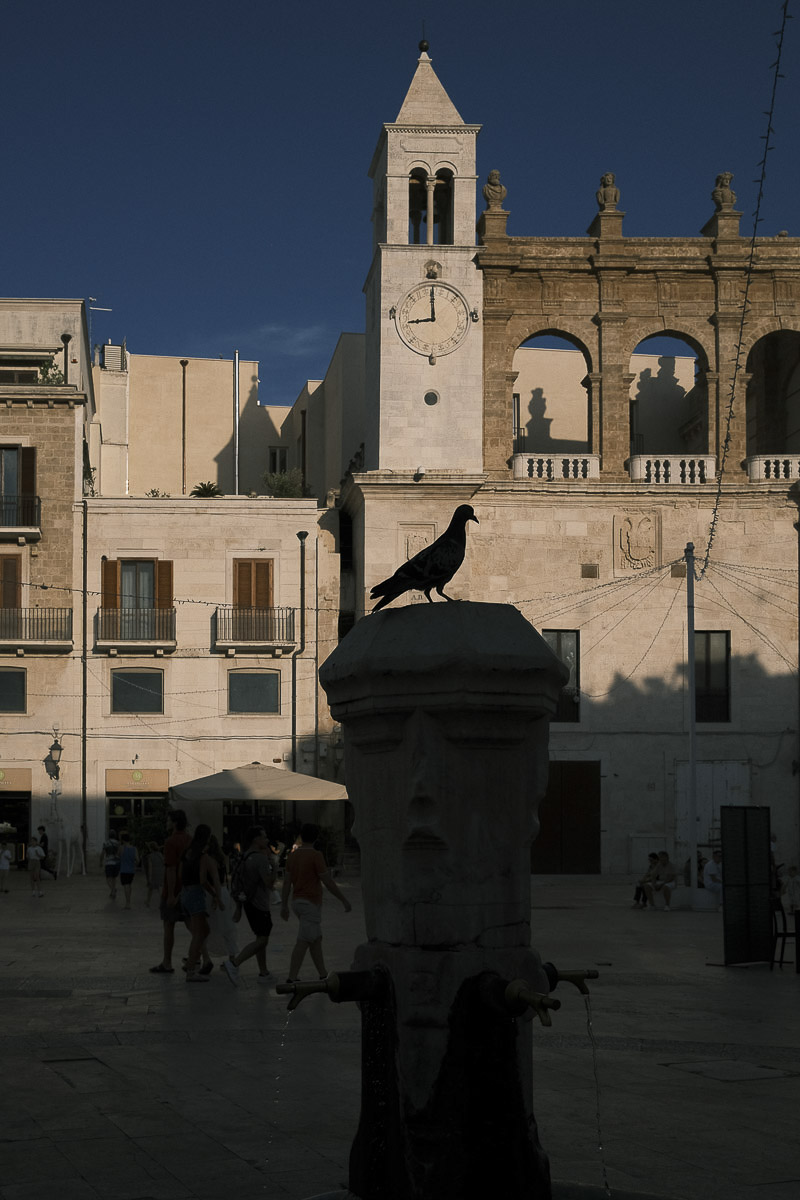 Bari